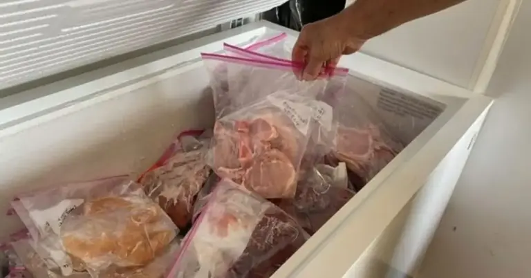 10 Sinais que o motor do seu freezer queimou